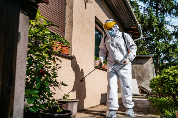 Flea Control Services in Hawaiian Acres, HI