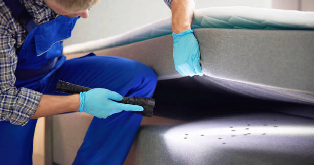 Best Best Pest Control Companies  in Hawaiian Acres, HI