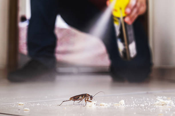 Best Pest Control for Restaurants  in Hawaiian Acres, HI