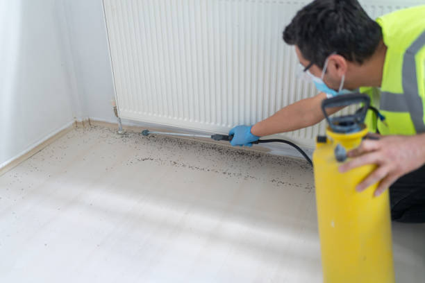 Best Best Pest Control Companies  in Hawaiian Acres, HI